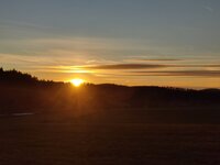 IMG_20241123_155442.jpg