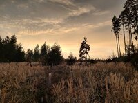IMG_20251108_161415.jpg