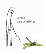 Libelle.png