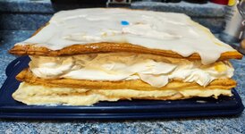 IMG_20251113_220510.jpg