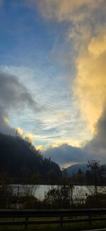 20251113_074239.jpg