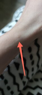 IMG_20251115_080146.jpg IMG_20251115_080146.jpg