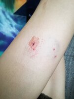 IMG_20170604_073801.jpg IMG_20170604_073801.jpg