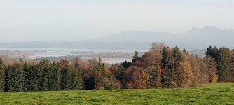 IMG_20251115_150204795.jpg