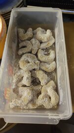 IMG-20251115-WA0006.jpeg