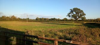IMG_20231013_171637.jpg