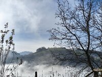 IMG_20251116_120512.jpg