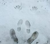 Winter Kurzgeschichte.jpg