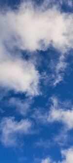 20251118_131504.jpg
