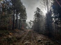 IMG_20251116_105628.jpg