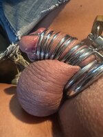 IMG_7413.jpeg