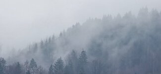 20250226_101740.jpg