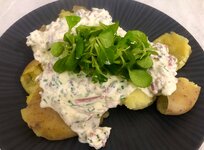 IMG_7101.jpeg IMG_7101.jpeg