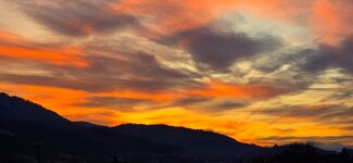 20251119_162630.jpg
