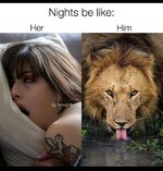 SIE ER main-qimg-decff5a2b87f0c3ff094088cc21c6b83.jpg