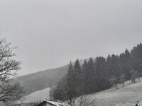 IMG_20251120_091834.jpg