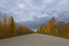 DSC_5278_.jpg