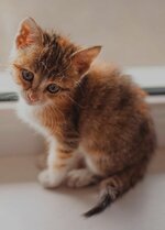 Screenshot_20251113_074121_One UI Home.jpg