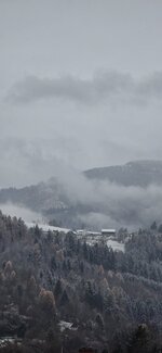 20251121_140305.jpg