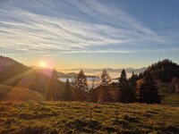 Herbstsonne.JPG