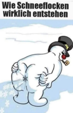 Screenshot 2023-11-28 111556.png