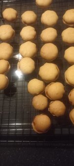 20251122_173753.jpg