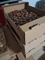20251123_191158.jpg