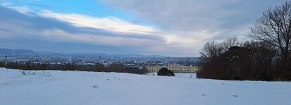 20251123_091405(1).jpg