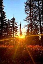Im Fadenkreuz der Sonne.JPG