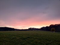 IMG_20251108_163313.jpg