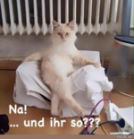 1764139713672.png