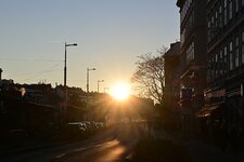 DSC_0242.jpg
