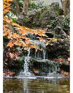 DSC_0442.jpg
