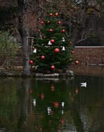 DSC_0378.jpg