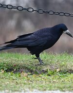 DSC_0326.jpg