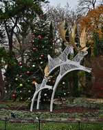 DSC_0351.jpg DSC_0351.jpg