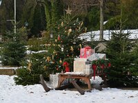 DSC_0242.jpg DSC_0242.jpg