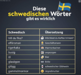 Schwedisch für Anfänger.png
