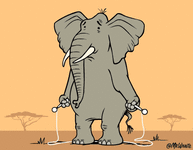 Elephant Jump Rope GIF - Find & Share on GIPHY.gif