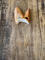 IMG_4935.jpeg IMG_4935.jpeg