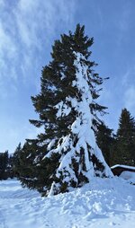 20251206_135830.jpg