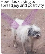 X main-qimg-9ef80d7069f9b9edd9dda2eb34897f37.jpg