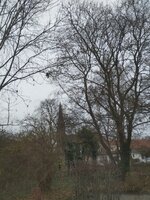 10,125-12-10 at 14.25.02.jpeg