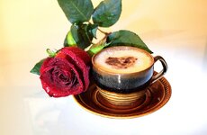 coffee-1809941_1280.jpg coffee-1809941_1280.jpg