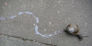 IMG_20251211_142618.jpg IMG_20251211_142618.jpg