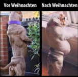 Screenshot 2023-12-27 204047.png