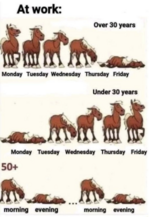 Bildschirmfoto 2024-05-13 um 18.23.51.png