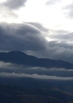 20211114_125254(1).jpg