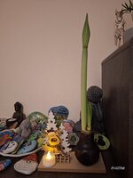 1000062770.jpg
