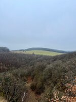 IMG_5164.jpeg IMG_5164.jpeg